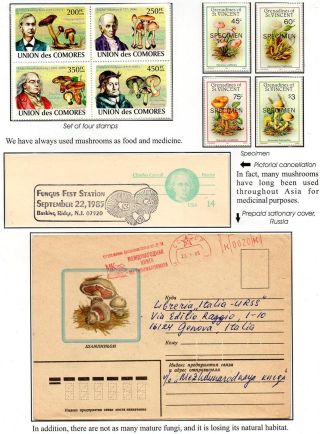 WUNDER DER NATUR - ERHALTEN SIE ES ODER VERLIEREN SIE – Blatt 3