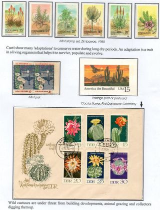 WUNDER DER NATUR - ERHALTEN SIE ES ODER VERLIEREN SIE – Blatt 5