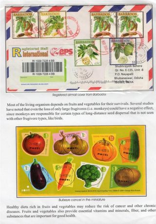 WUNDER DER NATUR - ERHALTEN SIE ES ODER VERLIEREN SIE – Blatt 8