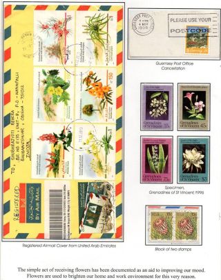 WUNDER DER NATUR - ERHALTEN SIE ES ODER VERLIEREN SIE – Blatt 10