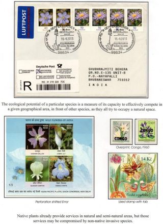 WUNDER DER NATUR - ERHALTEN SIE ES ODER VERLIEREN SIE – Blatt 11