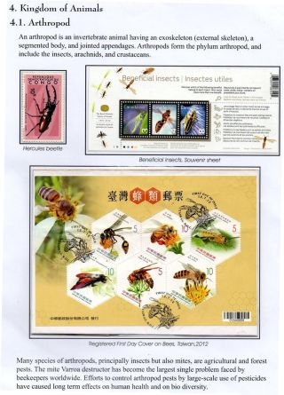 WUNDER DER NATUR - ERHALTEN SIE ES ODER VERLIEREN SIE – Blatt 12