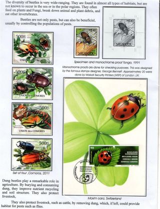 WUNDER DER NATUR - ERHALTEN SIE ES ODER VERLIEREN SIE – Blatt 14