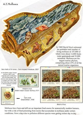 WUNDER DER NATUR - ERHALTEN SIE ES ODER VERLIEREN SIE – Blatt 16