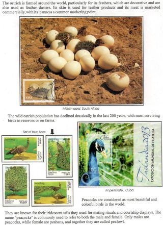 WUNDER DER NATUR - ERHALTEN SIE ES ODER VERLIEREN SIE – Blatt 19