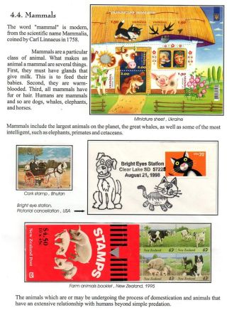 WUNDER DER NATUR - ERHALTEN SIE ES ODER VERLIEREN SIE – Blatt 23