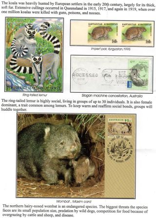 WUNDER DER NATUR - ERHALTEN SIE ES ODER VERLIEREN SIE – Blatt 26