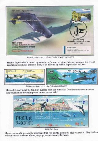 WUNDER DER NATUR - ERHALTEN SIE ES ODER VERLIEREN SIE – Blatt 29