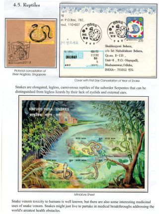 WUNDER DER NATUR - ERHALTEN SIE ES ODER VERLIEREN SIE – Blatt 30