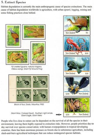 WUNDER DER NATUR - ERHALTEN SIE ES ODER VERLIEREN SIE – Blatt 40