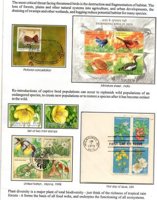 WUNDER DER NATUR - ERHALTEN SIE ES ODER VERLIEREN SIE – Blatt 43