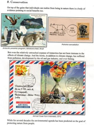 WUNDER DER NATUR - ERHALTEN SIE ES ODER VERLIEREN SIE – Blatt 45