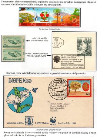 WUNDER DER NATUR - ERHALTEN SIE ES ODER VERLIEREN SIE – Blatt 47