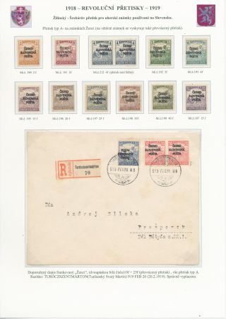 CZECHOSLOVAKIA - REVOLUTIONARY OVERPRINTS 1918-1919 – sheet 74