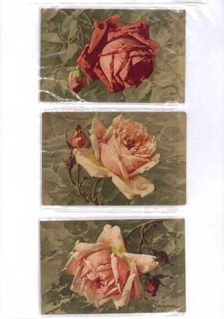 CATHERINE KLEIN - Roses on postcards – sheet 3