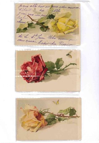 CATHERINE KLEIN - Roses on postcards – sheet 7