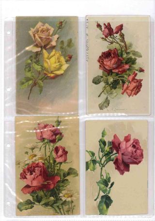 CATHERINE KLEIN - Roses on postcards – sheet 25