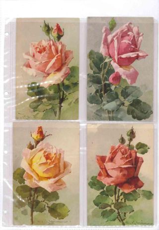 CATHERINE KLEIN - Roses on postcards – sheet 26