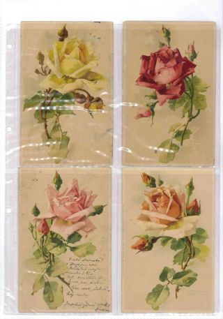 CATHERINE KLEIN - Roses on postcards – sheet 28