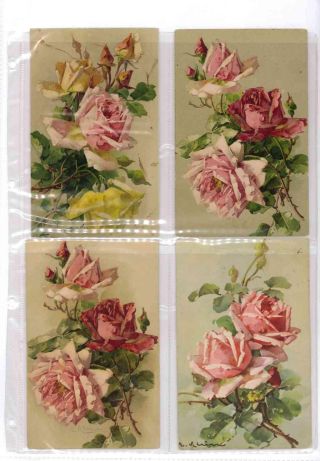 CATHERINE KLEIN - Roses on postcards – sheet 32