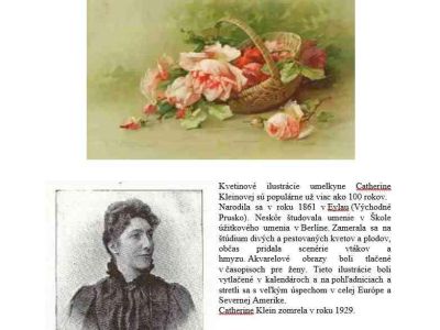CATHERINE KLEIN - Roses on postcards