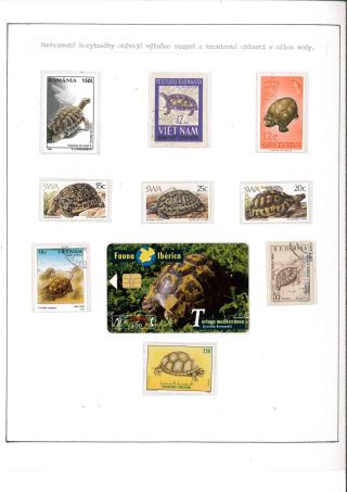 Turtles – sheet 3