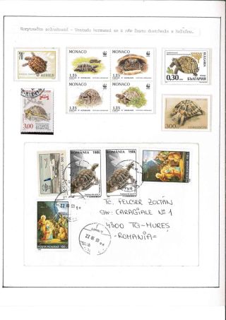 Turtles – sheet 4
