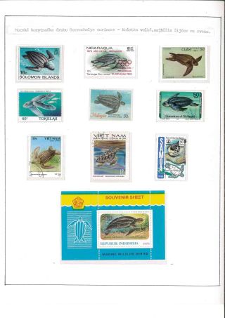 Turtles – sheet 12