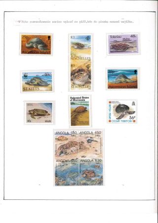 Turtles – sheet 15
