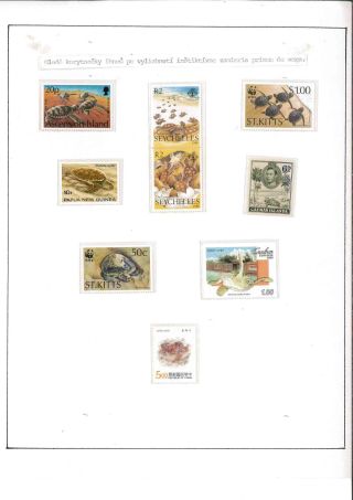 Turtles – sheet 16