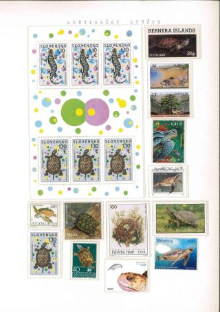 Turtles – sheet 17