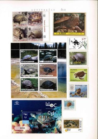 Turtles – sheet 18