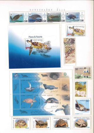 Turtles – sheet 19