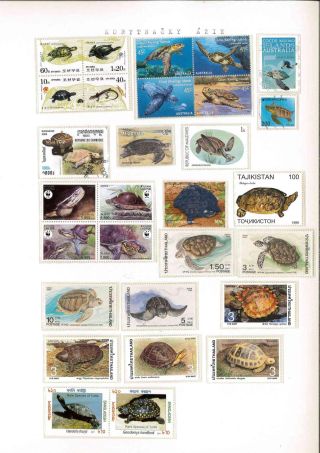 Turtles – sheet 20