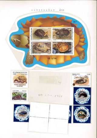 Turtles – sheet 21