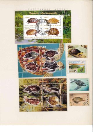 Turtles – sheet 23