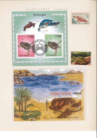 Turtles – sheet 24