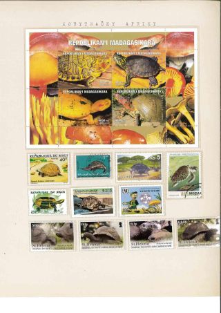 Turtles – sheet 25