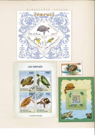 Turtles – sheet 26