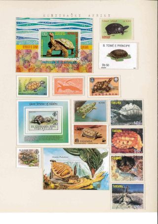 Turtles – sheet 27