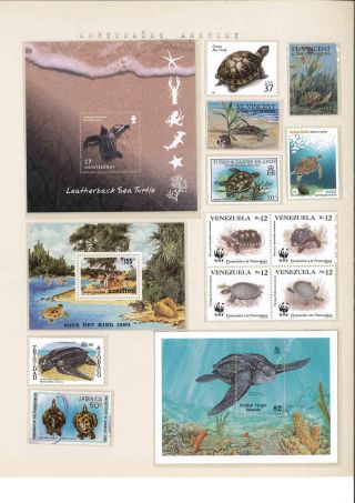 Turtles – sheet 29