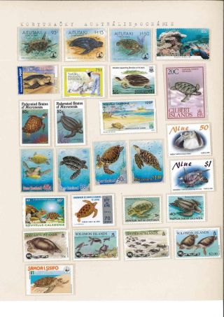 Turtles – sheet 30