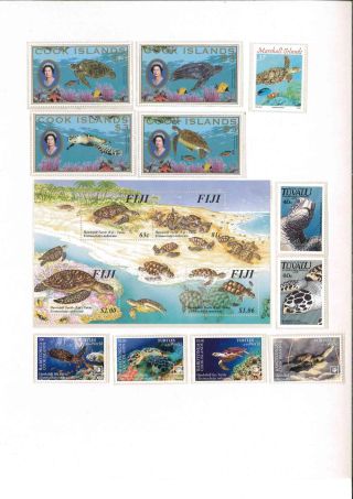Turtles – sheet 32