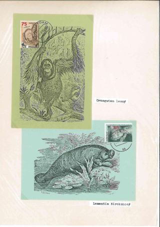 They are still alive - for how long? – sheet 2