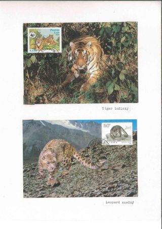 They are still alive - for how long? – sheet 5