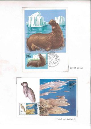 They are still alive - for how long? – sheet 14