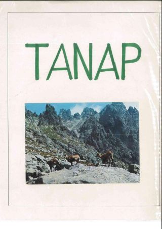 TANAP – Blatt 1
