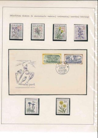 TANAP – Blatt 9