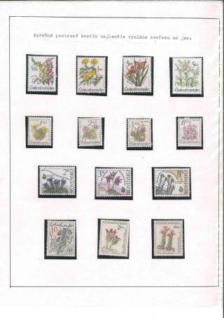 TANAP – Blatt 10