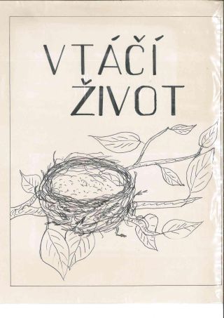 Vogelleben – Blatt 1